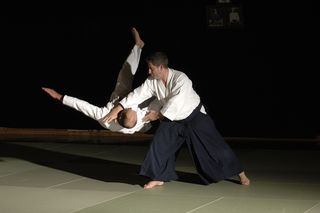 stage int2011